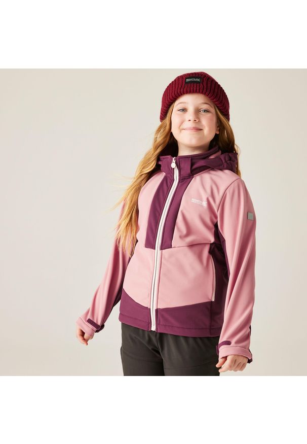Regatta - Kurtka dziecięca softshell wodoodporny Haydenbury. Kolor: fioletowy. Materiał: softshell. Styl: sportowy