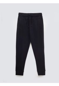 Big-Star - Spodnie dresowe męskie granatowe Kersyn 403/ Ajron 403. Kolor: niebieski. Materiał: dresówka. Wzór: haft, aplikacja #3