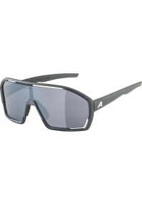 Alpina - Okulary sportowe Bonfire ALPINA FOGSTOP szary. Kolor: czarny