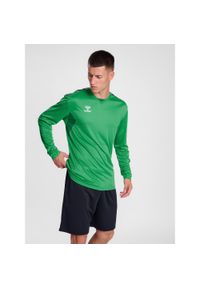 Dżersej z długim rękawem Hummel Authentic Pl. Kolor: zielony. Materiał: jersey. Długość rękawa: długi rękaw. Długość: długie. Sport: piłka nożna #1