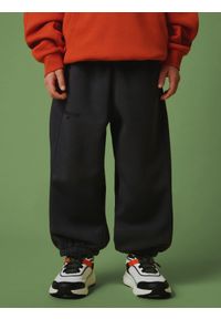 4f - 4F Spodnie dresowe joggery chłopięce - szare 158/164 (12-14 lat). Okazja: na co dzień. Kolor: szary. Materiał: dresówka. Sezon: lato. Styl: casual, sportowy #2