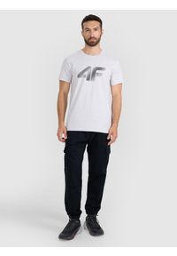 4f - 4F T-shirt regular z nadrukiem męski - szary 3XL. Okazja: na co dzień. Kolor: szary. Materiał: dzianina, bawełna, jersey. Długość rękawa: krótki rękaw. Długość: krótkie. Wzór: nadruk. Styl: klasyczny, sportowy, casual