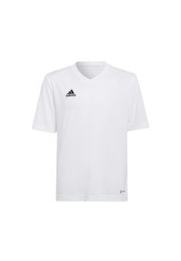 Adidas - Koszulka piłkarska dla dzieci adidas Entrada 22 Jersey. Kolor: biały. Materiał: poliester. Sport: piłka nożna