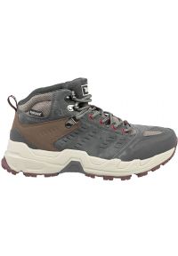 Buty trekkingowe Alpinus Gobi W JS43555 szare. Wysokość cholewki: przed kolano. Zapięcie: sznurówki. Kolor: szary. Materiał: guma. Szerokość cholewki: normalna. Styl: wakacyjny #1