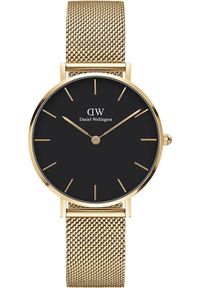 Zegarek Daniel Wellington ZEGAREK DAMSKI DANIEL WELLINGTON DW00100347 - PETITE EVERGOLD (zx704e) #1