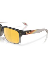 Okulary przeciwsłoneczne Oakley Holbrook Troy Lee Designs Series. Kolor: szary, czarny, wielokolorowy. Sport: turystyka piesza #1