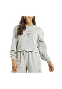 Sweter Damski Nautica Belcarra. Kolor: szary. Materiał: bawełna, prążkowany