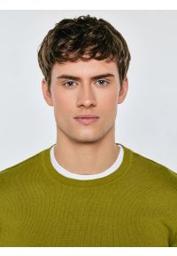 Big-Star - Sweter męski bawełniany zielony Simoner 301. Okazja: na co dzień. Kolor: zielony. Materiał: bawełna. Długość rękawa: długi rękaw. Długość: długie. Wzór: gładki, aplikacja, ze splotem. Styl: casual, klasyczny #7