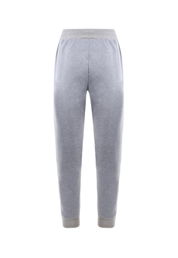 Born2be - Szare Spodnie Dresowe Joggery Analía. Kolor: szary. Materiał: dresówka. Styl: sportowy