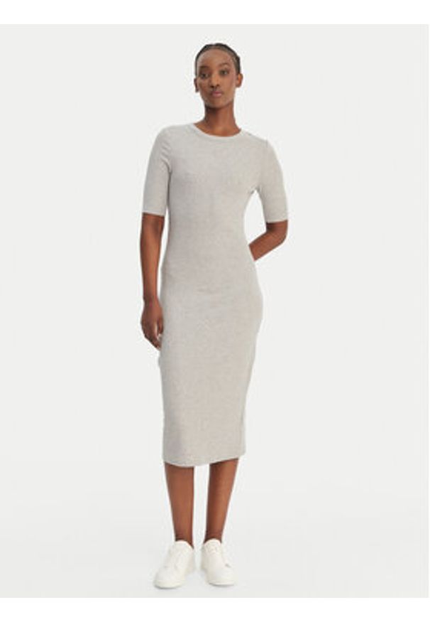 Calvin Klein Jeans Sukienka codzienna LV047D217G Szary Slim Fit. Okazja: na co dzień. Kolor: szary. Materiał: bawełna. Typ sukienki: proste. Styl: casual