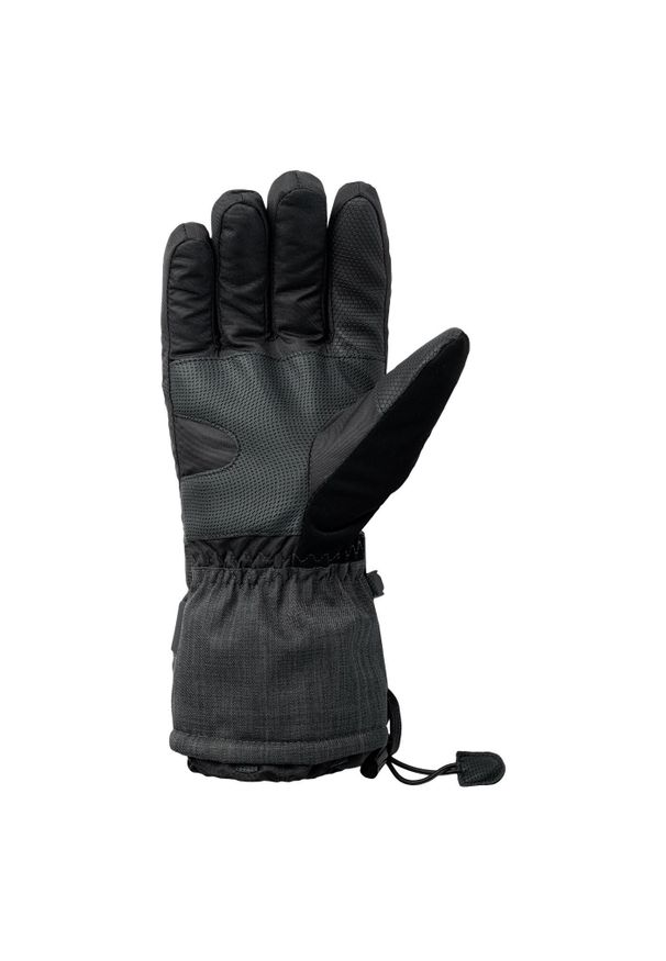 Rękawice narciarskie Elbrus Rihhar. Kolor: szary, wielokolorowy, czarny. Sezon: zima. Sport: narciarstwo