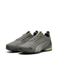 Puma Buty Voltaic Evo 31100701. Kolor: szary. Model: Puma Evo