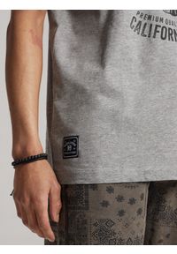 Diverse - T-shirt męski z nadrukiem WOLF CALI S1819 - szary. Kolor: szary. Materiał: poliester, bawełna. Wzór: nadruk
