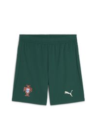 Puma - Męskie szorty Portugalia 2025 PUMA Blessing Green Sugared Almond Beige. Kolor: zielony, wielokolorowy, beżowy. Sport: piłka nożna