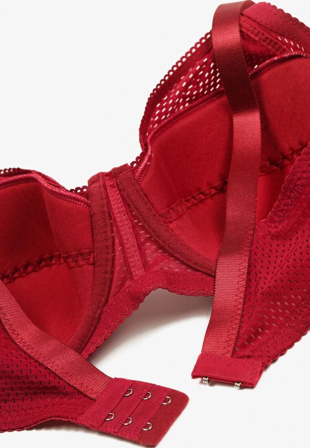 Renee - Bordowy Biustonosz z Regulowanymi Ramiączkami Zapinany na Haftki Izeviana. Kolekcja: plus size. Kolor: czerwony