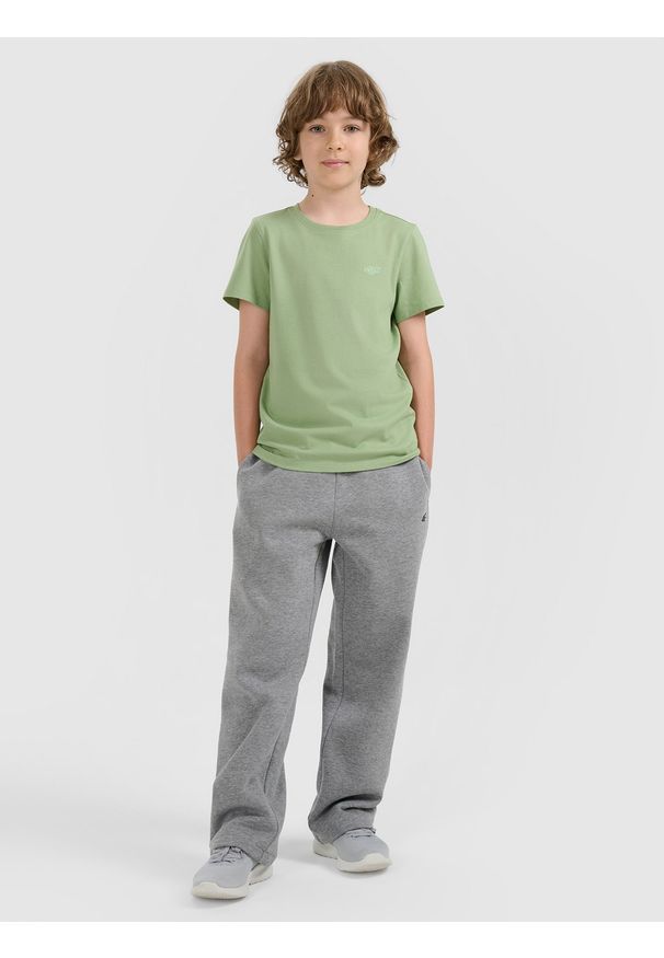 4f - 4F T-shirt regular gładki chłopięcy - turkusowy 122 (6-7 lat). Okazja: na co dzień. Kolor: turkusowy. Materiał: jersey, materiał, bawełna. Długość rękawa: krótki rękaw. Długość: krótkie. Wzór: gładki. Sezon: lato. Styl: młodzieżowy, casual, sportowy, klasyczny