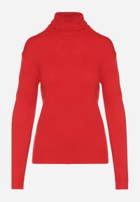 Born2be - Czerwony Klasyczny Golf z Bawełną Reilisea. Okazja: na co dzień. Typ kołnierza: golf. Kolor: czerwony. Materiał: bawełna. Styl: klasyczny #6