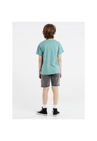 Koszulka chłopięca Protest PRTBIKE JR t-shirt. Kolor: zielony, niebieski, wielokolorowy. Sport: turystyka piesza