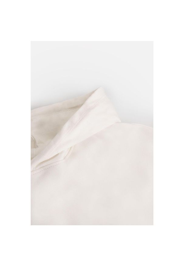 Lemon Explore - Bluza sportowa dziewczęca Lemon Exlopre ZL3 z kapturem. Typ kołnierza: kaptur. Kolor: beżowy. Materiał: bawełna. Wzór: aplikacja. Sport: turystyka piesza