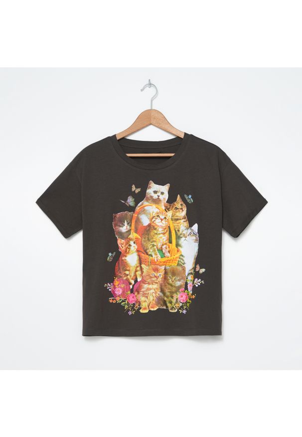 House - T-shirt z kotami - Szary. Kolor: szary