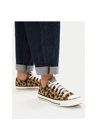 Trampki Converse. Kolor: brązowy. Wzór: nadruk #1