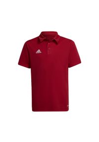 Adidas - Koszulka polo piłkarska dla dzieci adidas Entrada 22 Polo. Typ kołnierza: polo. Kolor: czerwony. Sport: piłka nożna #1