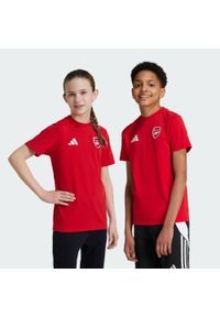 Adidas - Koszulka Arsenal Kids. Kolor: czerwony