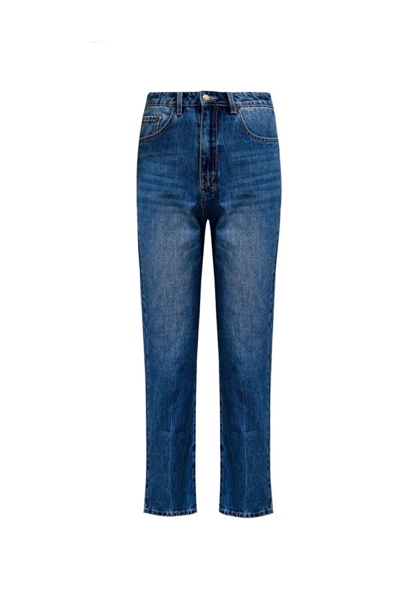 Ksubi - Jeansy KSUBI CHLO WASTED NO RULES. Stan: podwyższony. Materiał: jeans. Długość: do kostek. Styl: retro