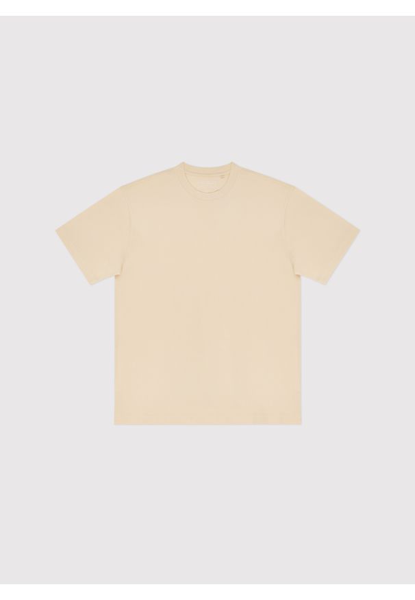 Pako Lorente - PAKO LORENTE – Beżowy t-shirt oversize. Okazja: na co dzień. Kolor: zielony, beżowy, oliwkowy. Materiał: bawełna. Styl: casual