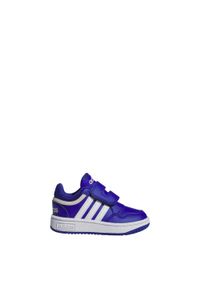 Adidas - Hoops Shoes. Kolor: biały, wielokolorowy, niebieski. Sport: tenis
