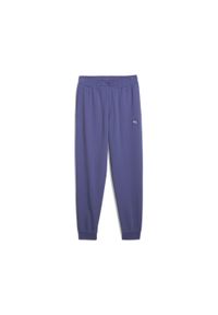 Puma - Męskie spodnie Essentials Elevated PUMA Blue Crystal. Kolor: niebieski. Sport: fitness