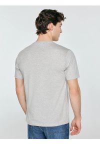 Big-Star - Koszulka męska z nadrukiem szara Serter 901. Okazja: na co dzień. Kolor: szary. Materiał: materiał, bawełna, denim, dzianina, skóra. Długość rękawa: krótki rękaw. Długość: krótkie. Wzór: nadruk. Styl: klasyczny, casual #5