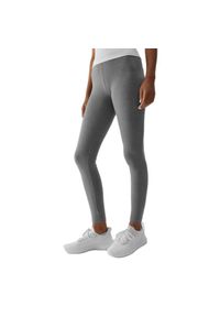 4f - Legginsy Damskie 4F. Kolor: szary #1