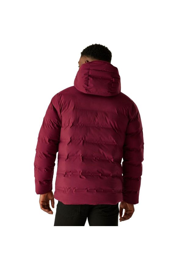 Regatta - Męska Wodoodporna Kurtka Termiczna Altoro. Kolor: czerwony. Materiał: puch. Sport: turystyka piesza