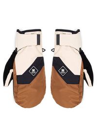 DC Shoes Rękawice narciarskie Franchise ADYHN03029 Brązowy. Kolor: brązowy. Materiał: poliester. Sport: narciarstwo #7