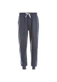 CRUZ - Jogging Cruz Regent. Kolor: niebieski, biały, wielokolorowy. Sport: bieganie #1