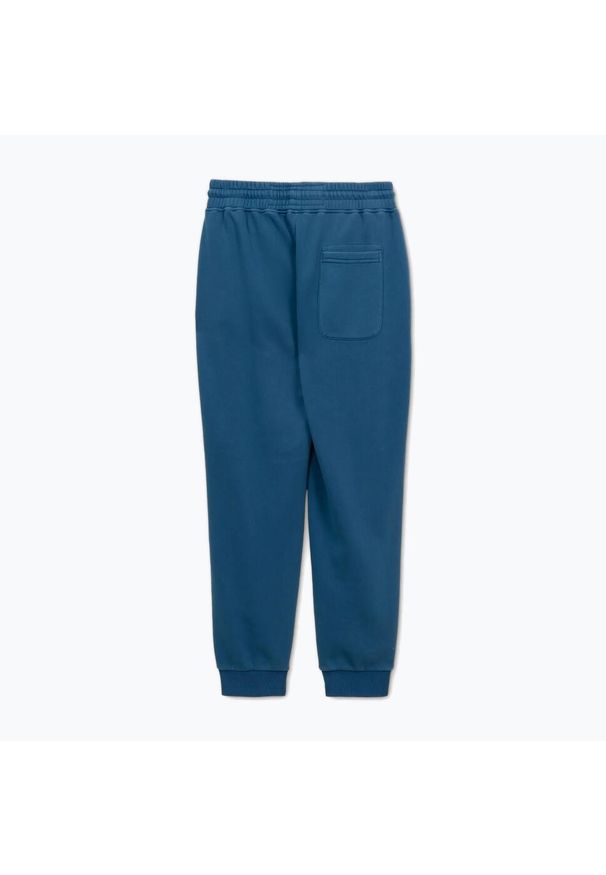 PITBULL - Spodnie męskie Pitbull Lancaster 2 Track Pants. Kolor: niebieski