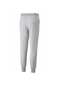 Spodnie damskie Puma ESS Sweatpants FL. Kolor: czarny, szary, wielokolorowy. Sport: fitness