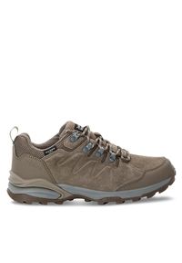 Jack Wolfskin Trekkingi Refugio Texapore Low W 4050821 Brązowy. Kolor: brązowy. Materiał: skóra