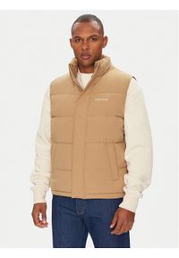 Guess Bezrękawnik M4BN47 WGII2 Beżowy Regular Fit. Kolor: beżowy. Materiał: syntetyk. Długość rękawa: bez rękawów
