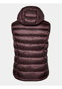 Blauer Kamizelka 23WBLUX03081 Brązowy Regular Fit. Kolor: brązowy. Materiał: syntetyk