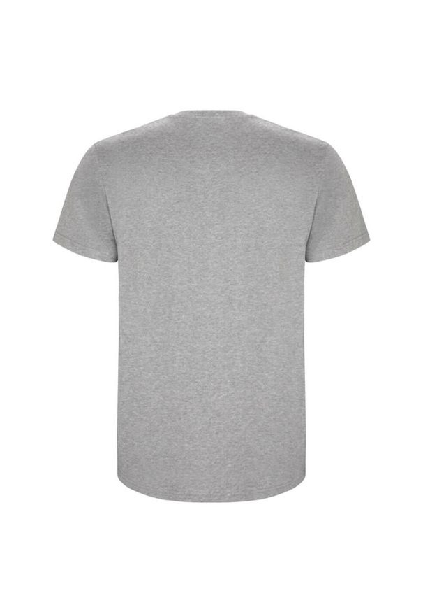 ROLY - Męska Koszulka Stafford. Kolor: szary. Sport: turystyka piesza