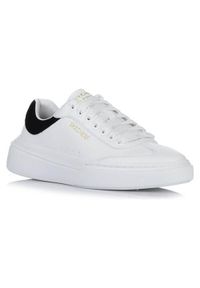 skechers - Buty SKECHERS CORDOVA CLASSIC - LI Biały. Zapięcie: sznurówki. Kolor: biały. Materiał: materiał, syntetyk, tkanina, guma, skóra. Szerokość cholewki: normalna. Sport: turystyka piesza #2