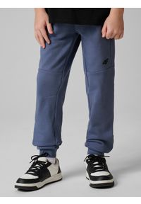 4f - 4F Spodnie dresowe joggery chłopięce - niebieskie 164 (13-14 lat). Okazja: na co dzień, na uczelnię, do domu. Kolor: niebieski. Materiał: dresówka. Sezon: lato. Styl: casual #2