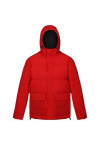Regatta - Kurtka turystyczna męska Falkner pikowana. Typ kołnierza: kaptur. Kolor: czerwony. Materiał: poliester. Sport: turystyka piesza #1