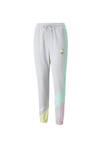 Puma Spodnie Intl 53165909. Kolor: szary