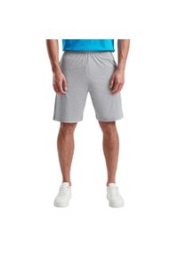 FRUIT OF THE LOOM - Shorty Męskie Jersey Iconic 195. Kolor: szary. Materiał: jersey
