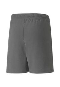 Spodenki Puma teamRise Short Jr 704943 13. Kolor: szary, biały, wielokolorowy. Długość: krótkie
