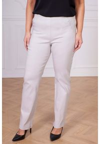 Nasi partnerzy - Popielate spodnie Nilda z prostą nogawką wysoki stan PLUS SIZE XXL. Okazja: na co dzień, do pracy, na spacer. Stan: podwyższony. Kolekcja: plus size. Kolor: szary. Materiał: poliester, elastan, tkanina, materiał, włókno, wiskoza. Długość: krótkie. Styl: casual #1