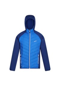 Regatta - Męska Kurtka Hybrydowa Andreson VIII. Kolor: niebieski. Materiał: puch. Sport: turystyka piesza #1